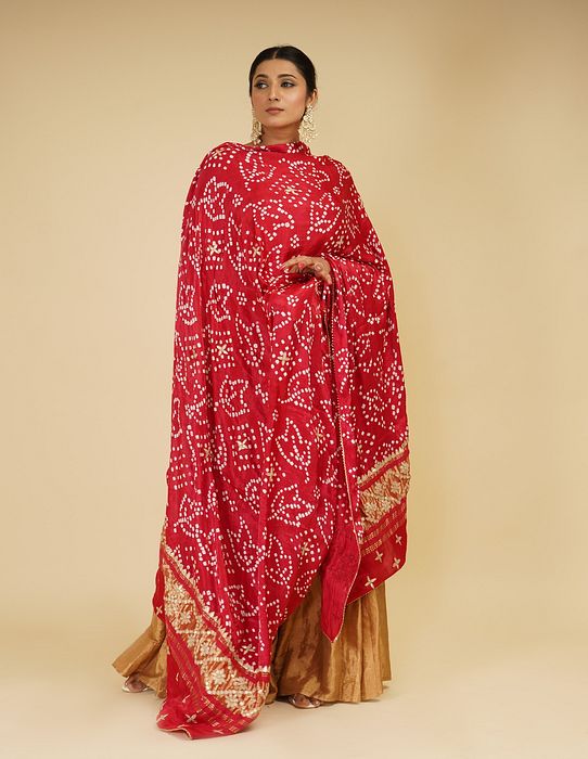 A model showcasing Golden Sharara Set With Red Pink Dupatta by Farha Syed from Farha Syed's collection