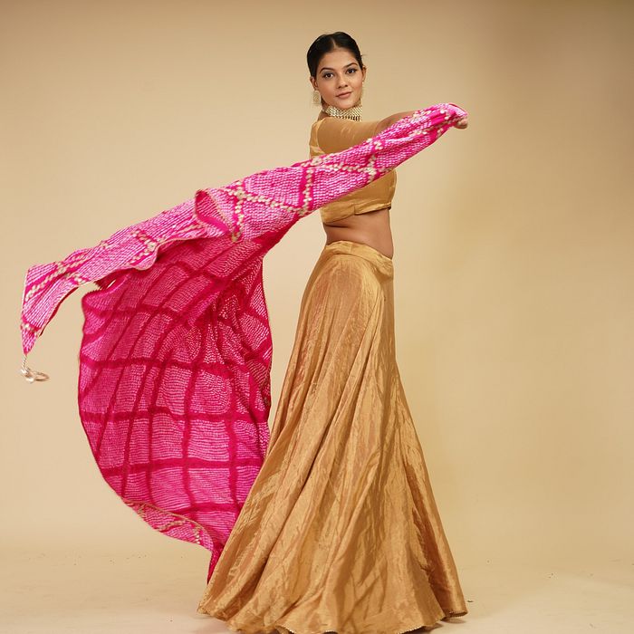A model showcasing 3 Peice Lehenga With Pink Dupatta by Farha Syed from Farha Syed's collection