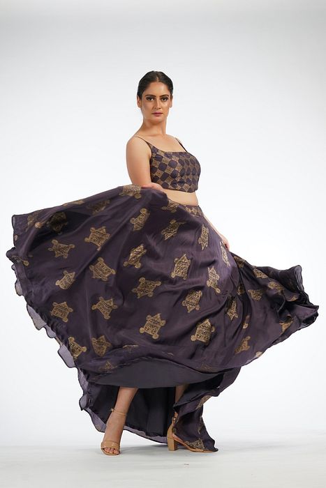 A model showcasing Metallic Hand Painted Lehenga Choli by Shruti S Label from Shruti S Label's collection