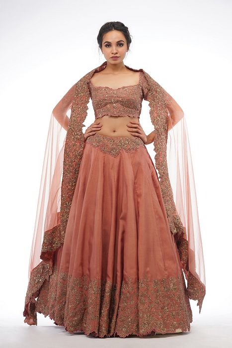 A model showcasing Classic Heavy Bordered Lehenga In Cinnamon Feature image by Shruti S Label from Shruti S Label's collection