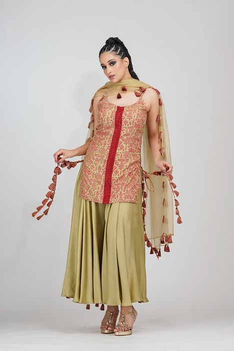 A model showcasing Sharara In Contrast Embroidery With Hand Paint by Shruti S Label from Shruti S Label's collection