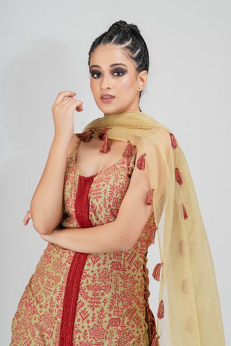 A model showcasing Sharara In Contrast Embroidery With Hand Paint by Shruti S Label from Shruti S Label's collection