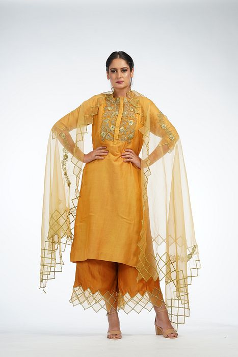 A model showcasing Zari Work 3 Shaded Palazzo Suit by Shruti S Label from Shruti S Label's collection
